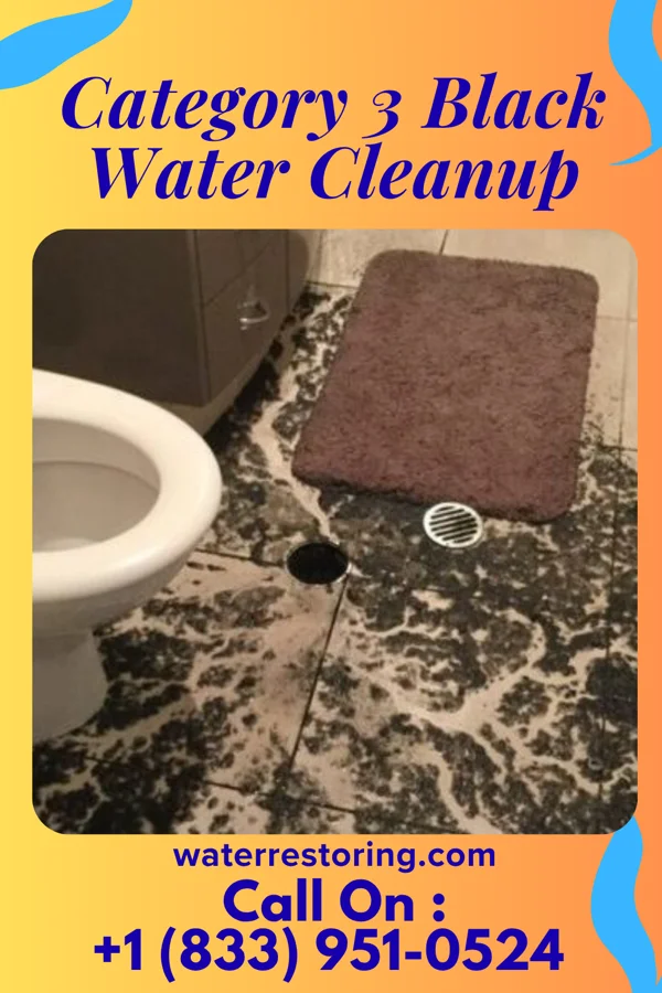 Category 3 Black Water Cleanup in Loxley, AL