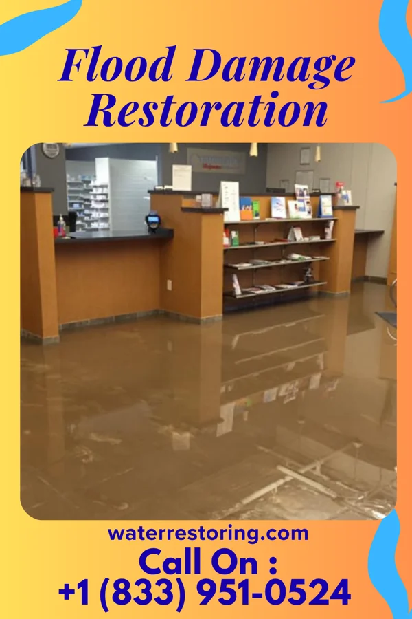 Flood Damage Restoration in Loxley, AL