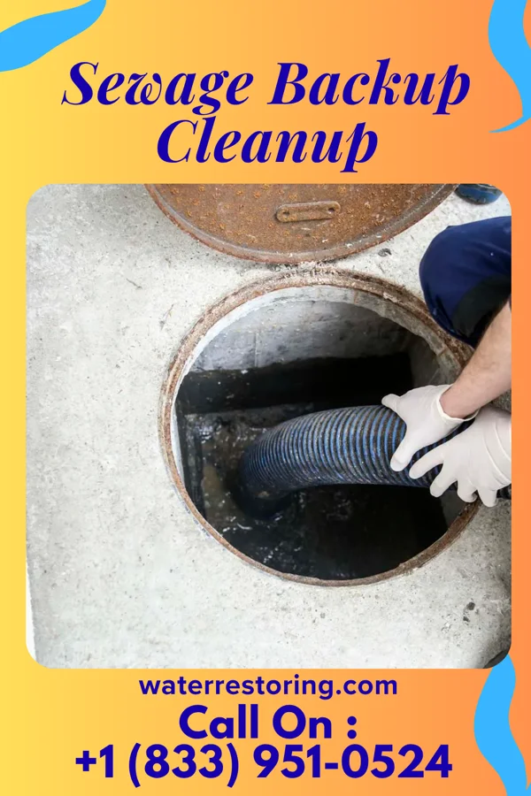 Sewage Backup Cleanup in Loxley, AL