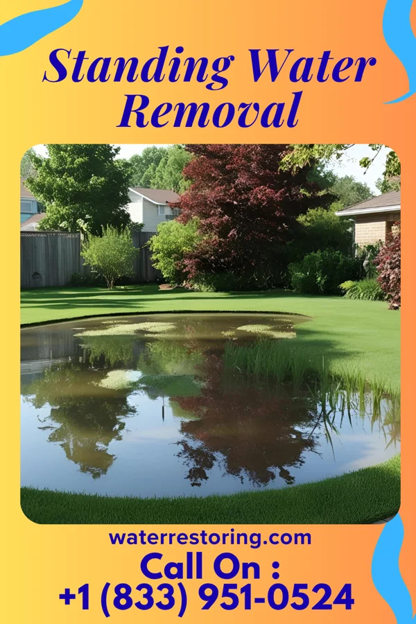 Standing Water Removal in Loxley, AL